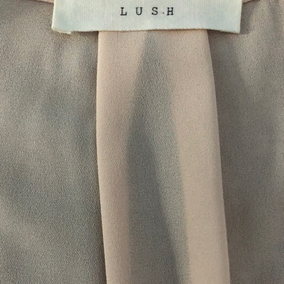Pink Blouse - V Neck - Sheer - Excellent Condition - Size Medium - Lush - Picture 3 of 3